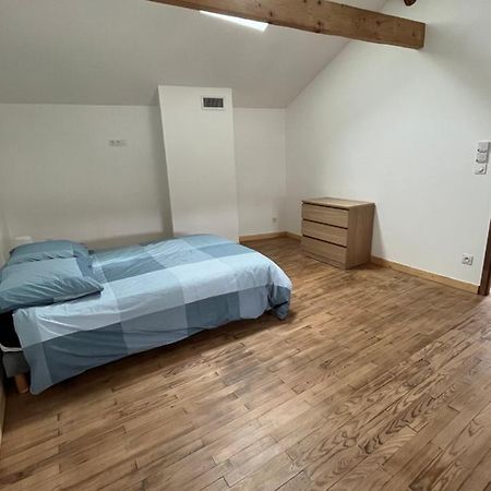 Superbe Maison De Ville, Renovee A 15 Min De Lyon Saint-Symphorien-dʼOzon Eksteriør billede